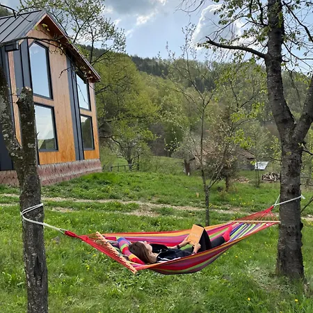 Magic Pine Nest 펜션 Gura Teghii