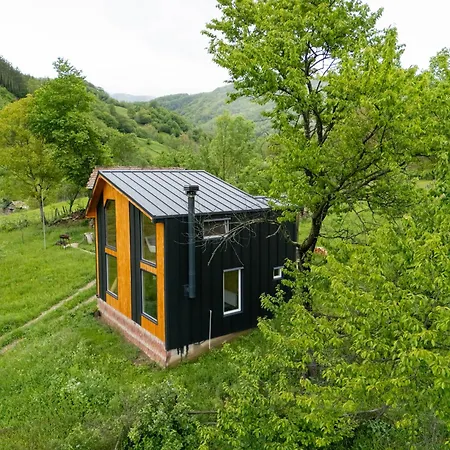 펜션 Magic Pine Nest Gura Teghii