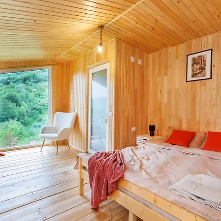 Magic Pine Nest * Gura Teghii