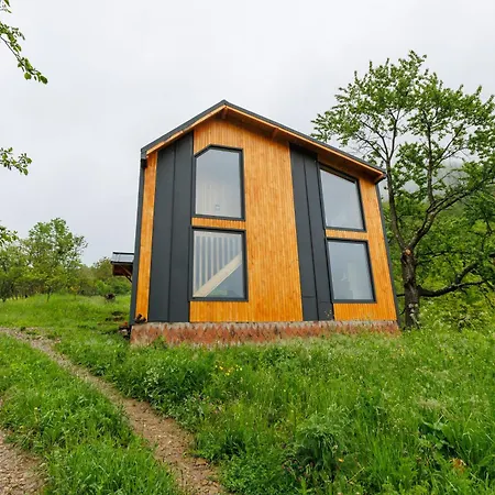 펜션 Magic Pine Nest Gura Teghii